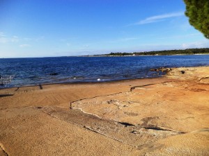 Pineta 13-15.9 (3)