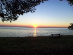 Pineta 13-15.9 (46)
