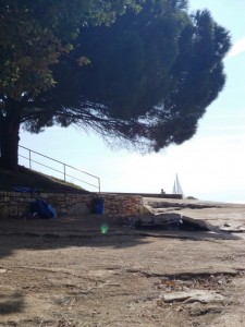 Pineta 13-15.9 (71)
