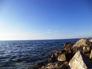 Pineta 13-15.9 (8)