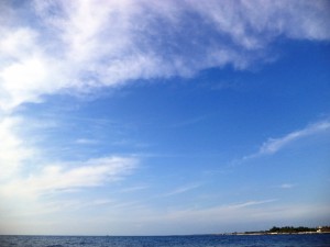 Pineta 13-15.9 (84)