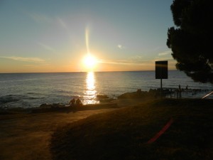 DSCN8645