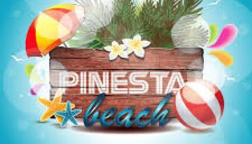 pinesta.com