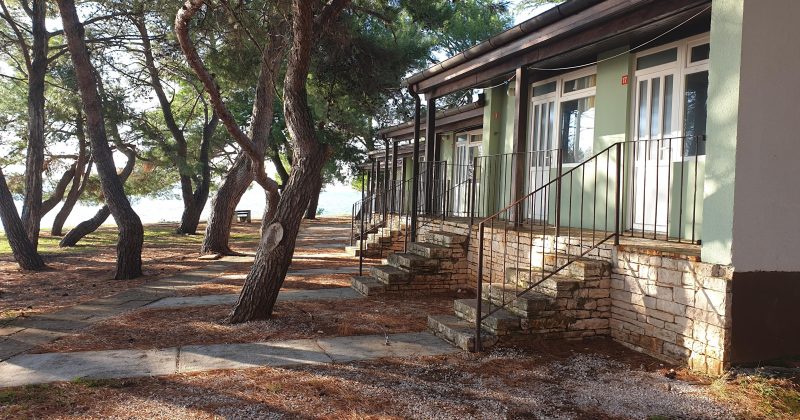 Najem apartmajev Family Bungalow Pineta 2021