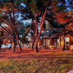 Apartma ob morju