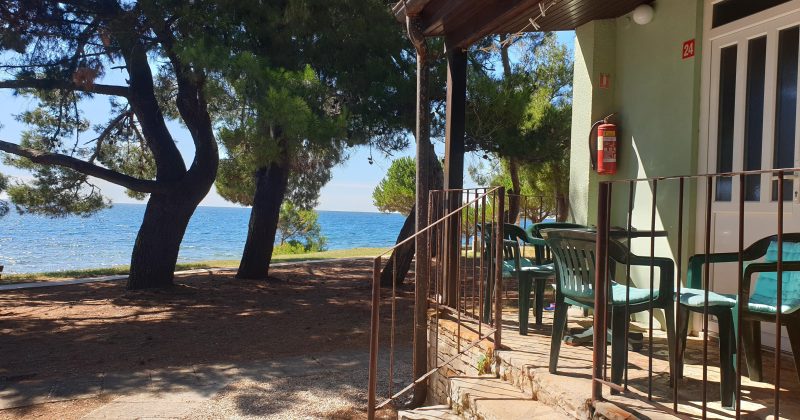 Family Bungalow Pineta sezona 2026