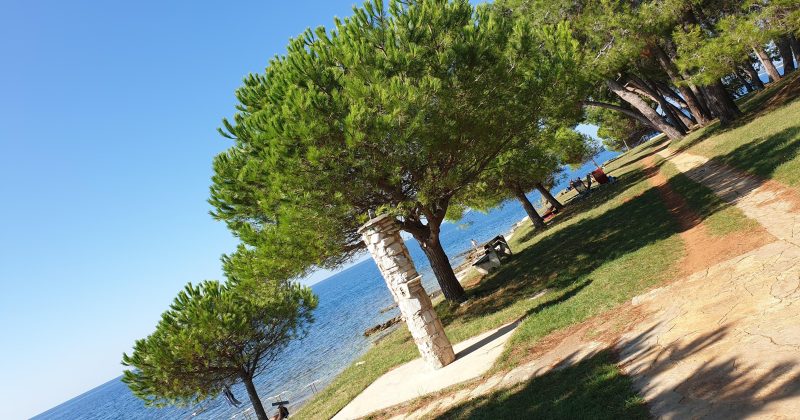 Poletje 2026 v Pinesti